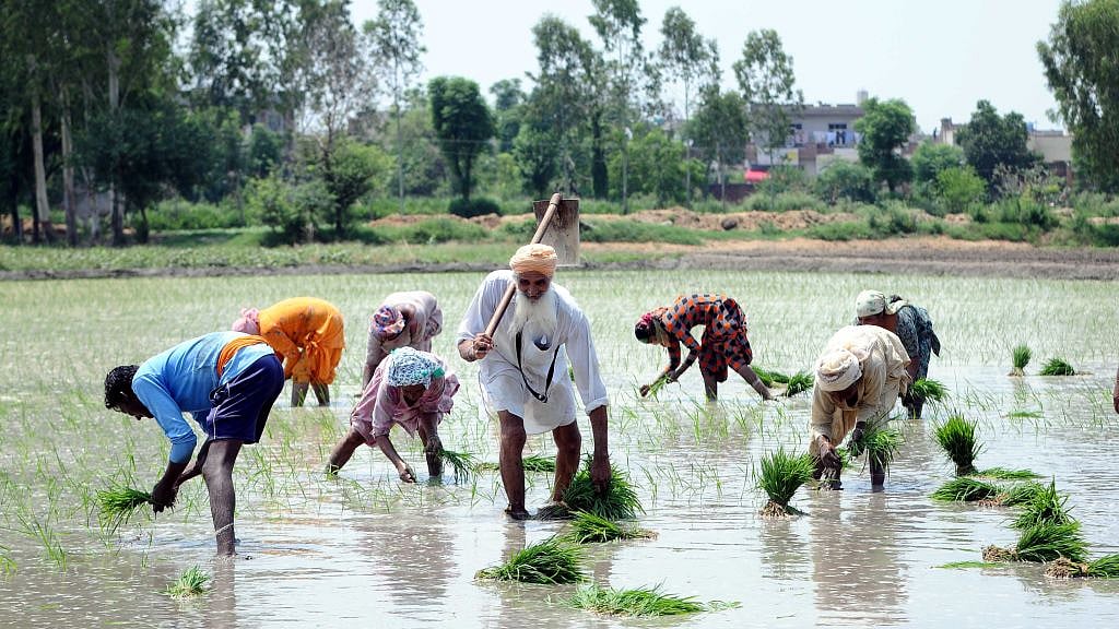 à¤¬à¤¾à¤°à¤¿à¤¶ à¤à¥ à¤¬à¥à¤¤à¤°à¤¤à¥à¤¬à¥ à¤¸à¥ à¤à¤°à¥à¤« à¤«à¤¸à¤²à¥à¤ à¤ªà¤° à¤à¤¸à¤°, à¤à¤­à¥ à¤¤à¤ 24 à¤«à¥à¤¸à¤¦à¥ à¤à¤® à¤°à¤¹à¥ à¤¹à¥ à¤§à¤¾à¤¨ à¤à¥ à¤¬à¥à¤µà¤¾à¤, à¤à¥à¤¯à¤¾ à¤¬à¤¿à¤à¤¡à¤¼à¥à¤à¥ à¤à¤°à¥à¤¥à¤µà¥à¤¯à¤µà¤¸à¥à¤¥à¤¾!