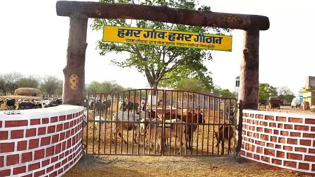 फोटो: IANS