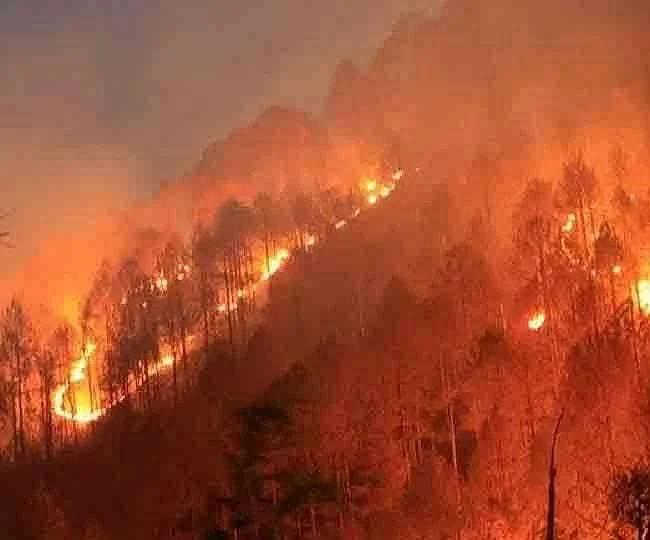 दुनिया की खबरें: काबुल के स्टेडियम में मैच के बीच आत्मघाती धमाका, यूक्रेन से हारने पर भागने की तैयारी में पुतिन!