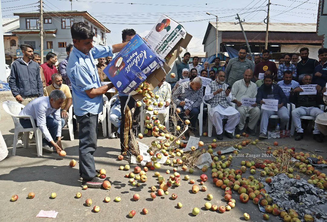 कश्मीर: बंपर फसल के बावजूद सेब उत्पादकों को हो रहा है भारी नुकसान, अपने ही हाथों फसल फेंकने को मजबूर