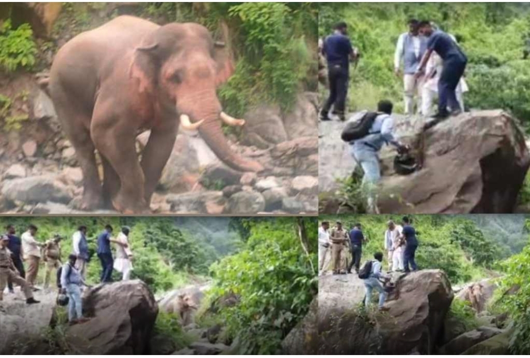 उत्तराखंड: पूर्व सीएम त्रिवेंद्र सिंह रावत की गाड़ी के आगे आया हाथी, ऐसे बचाई जान