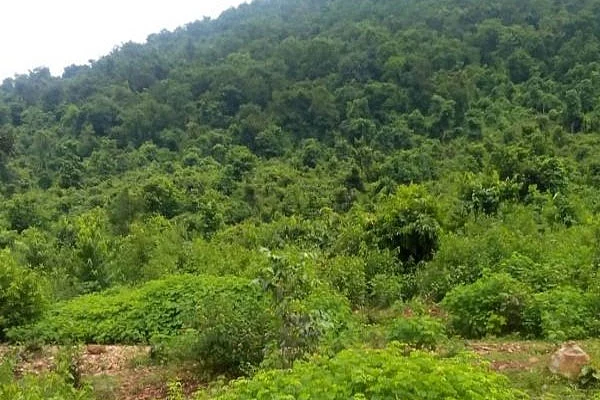 झारखंड: बूढ़ा पहाड़ पर ऑपरेशन ऑक्टोपस, भारी मात्रा में लैंडमाइंस बरामद, बड़ी तबाही की थी योजना