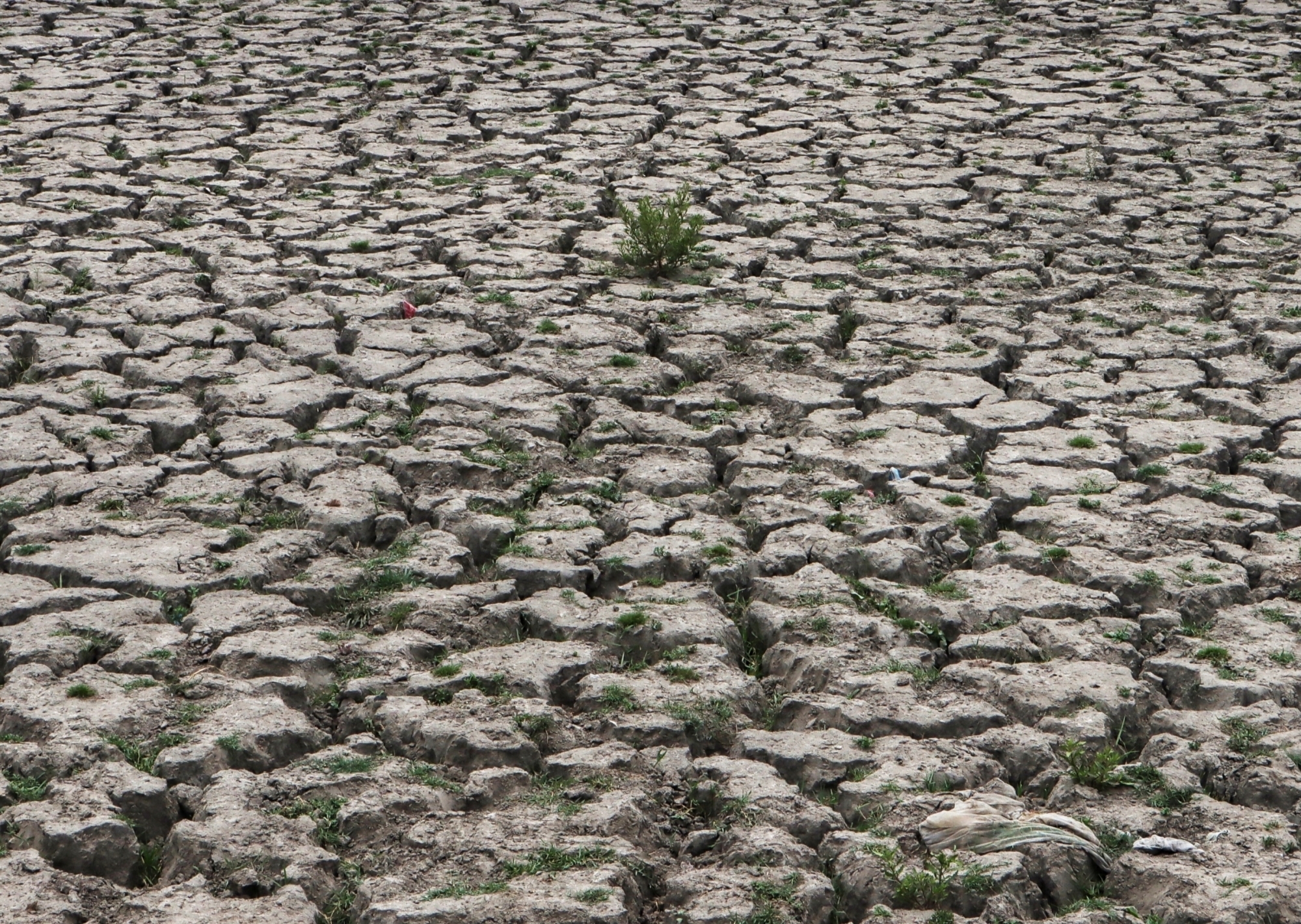 देश में बिन मौसम बारिश, बाढ़ और सूखे का बढ़ा प्रकोप, ग्लोबल वार्मिंग को 84 फीसदी भारतीयों ने माना वजह