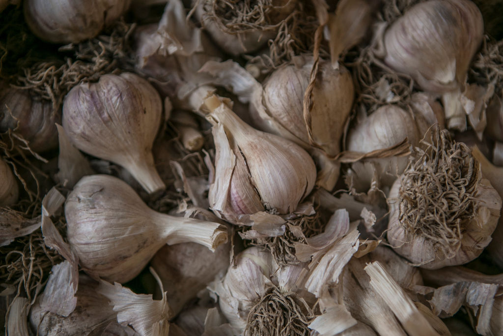 फोटो: Getty Images