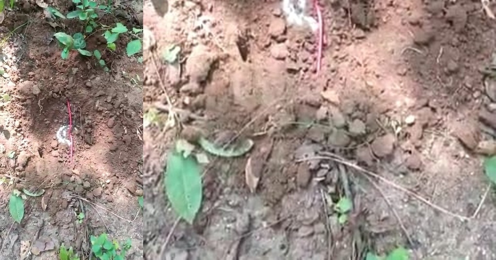 नक्सलियों के खिलाफ ऑपेरशन ग्रेविटास-3! CRPF को मिली बड़ी सफलता, दो राज्यों से 14 आईईडी बरामद
