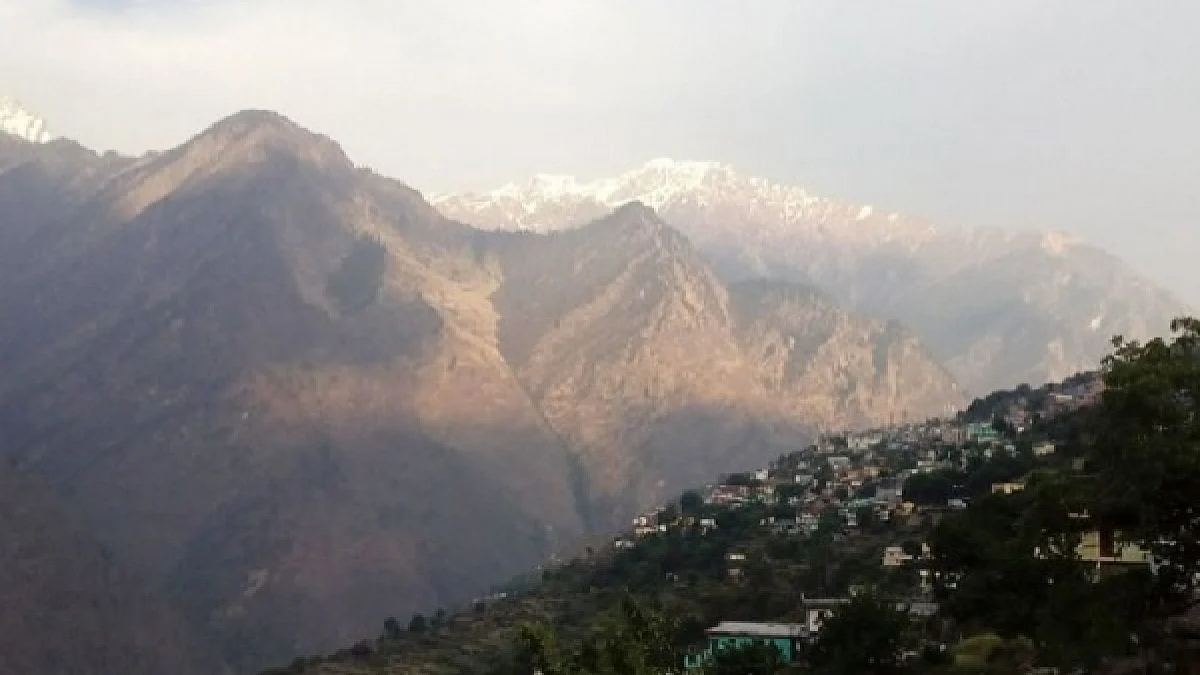 फोटो: सोशल मीडिया