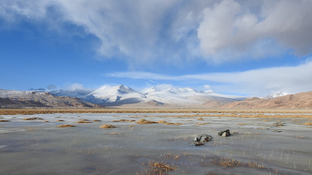 Admission to the NCF Doctoral Programme 2021