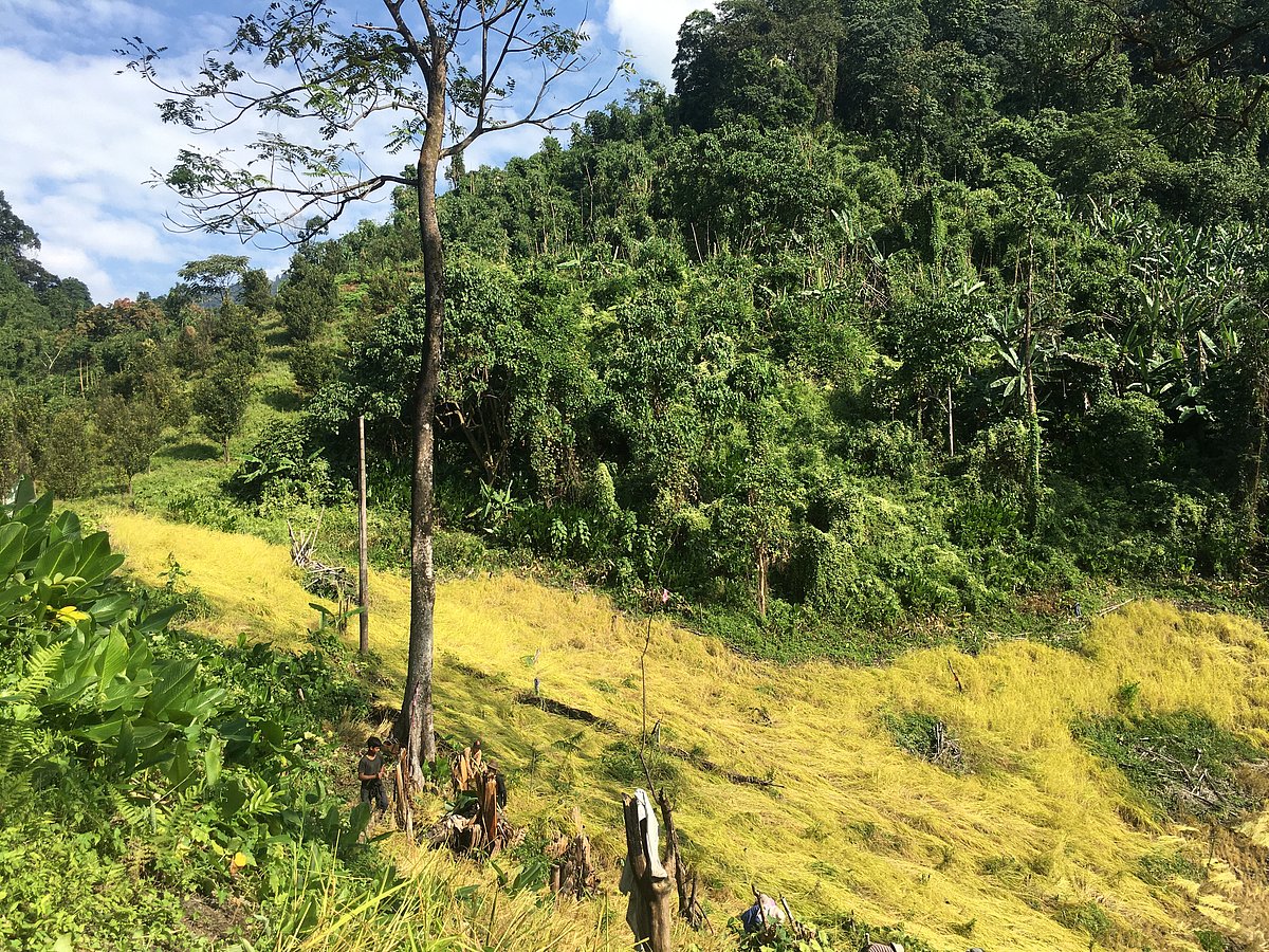 PhD Fellowships: Nature-culture transitions in Arunachal Pradesh