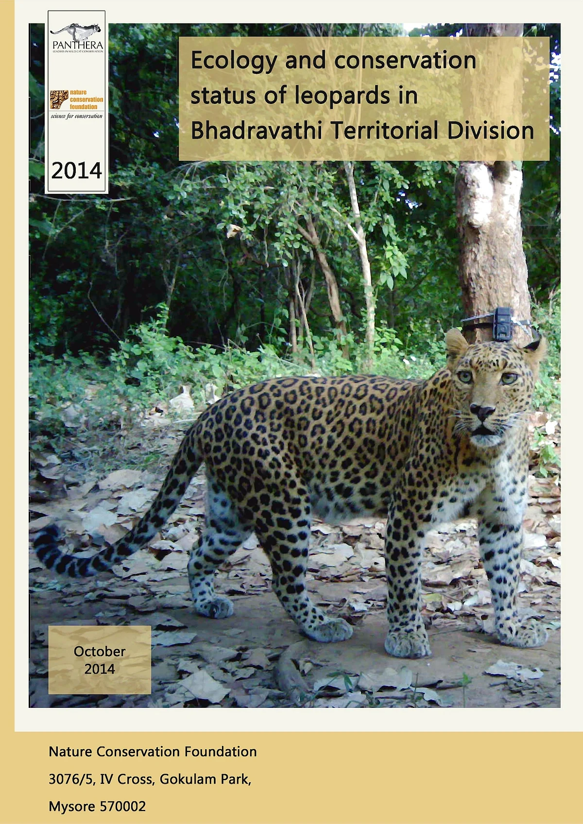 The secret lives of leopards