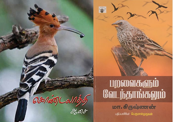 Birds Images With Names In Tamil