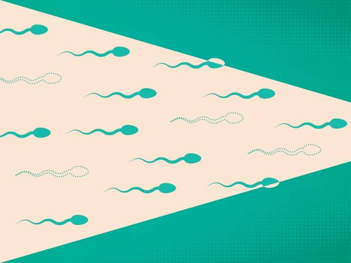 Novel sperm age estimation technique to predict pregnancy success