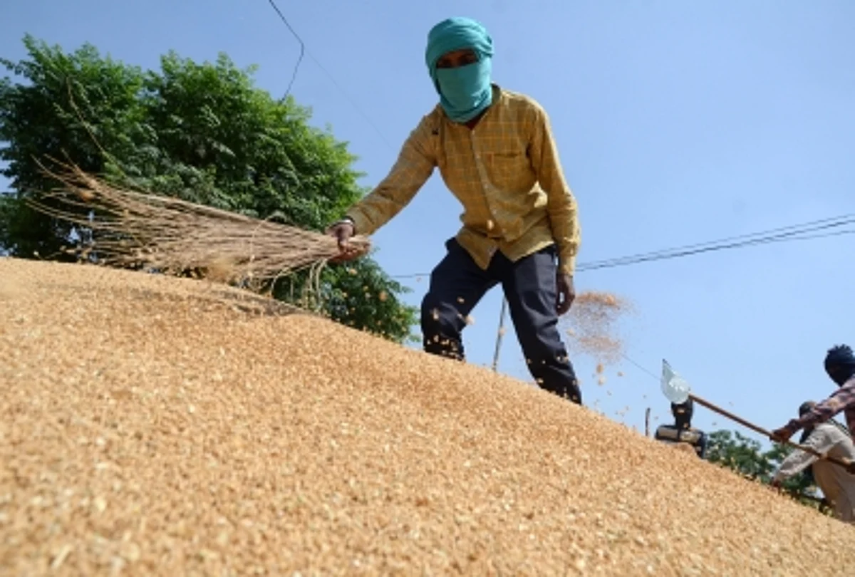 Earlier, the Centre had said it was happy that the farmers were getting good returns for their produce as India had exported almost 11 lakh metric tonnes (LMT) of wheat till April.