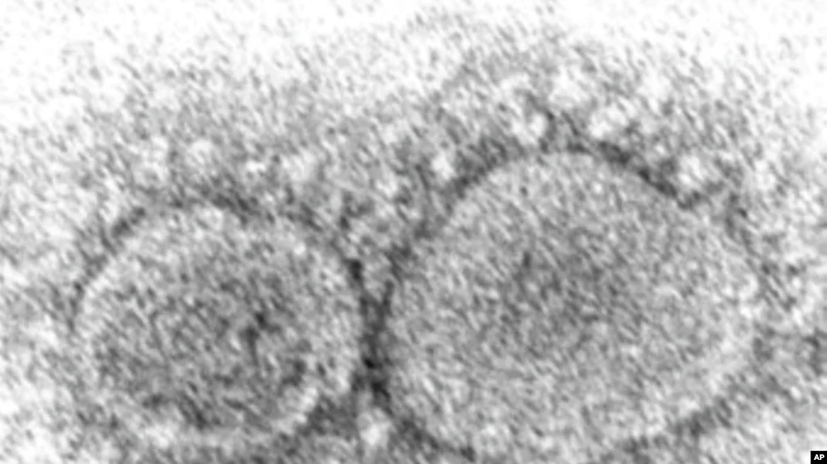 Dominant Coronavirus Mutant Contains Ghost of Pandemic Past