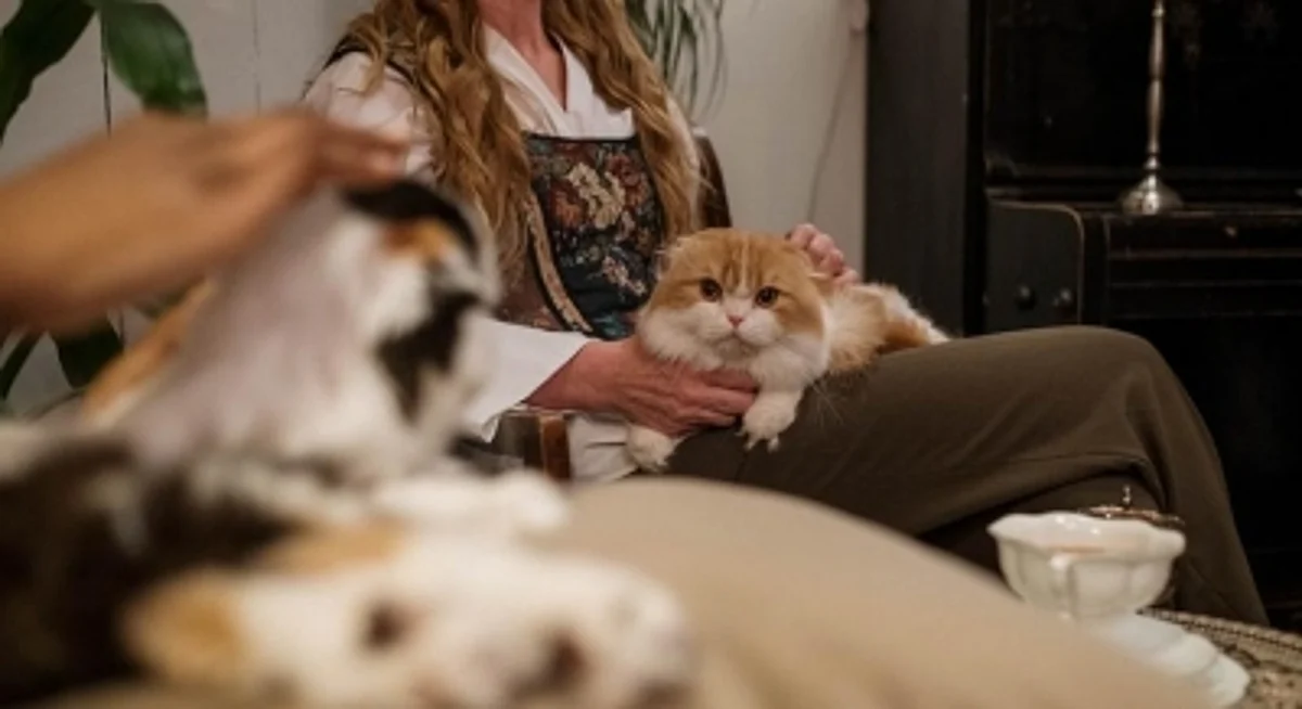 Worry less and travel more with your Pets