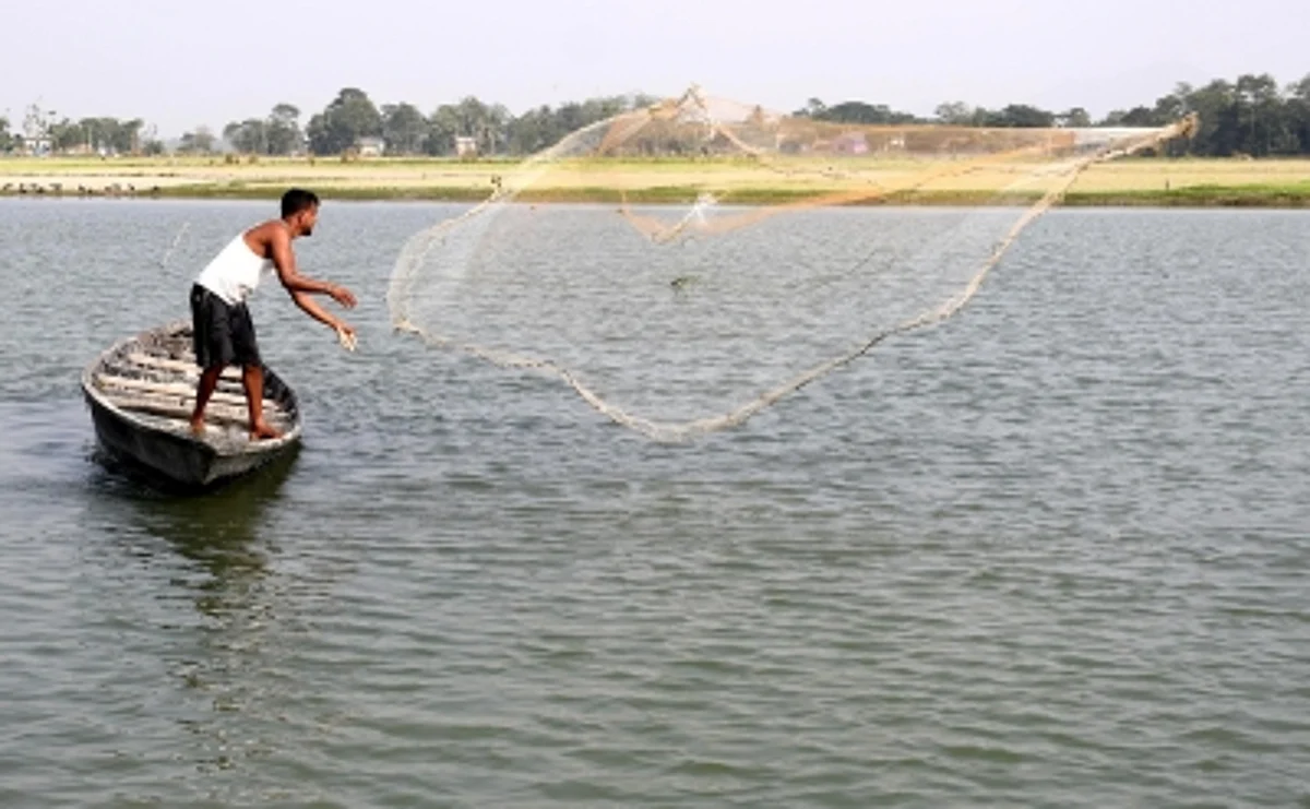 Gujarat is the 3rd largest producer of fish in India, with both marine & inland fishing