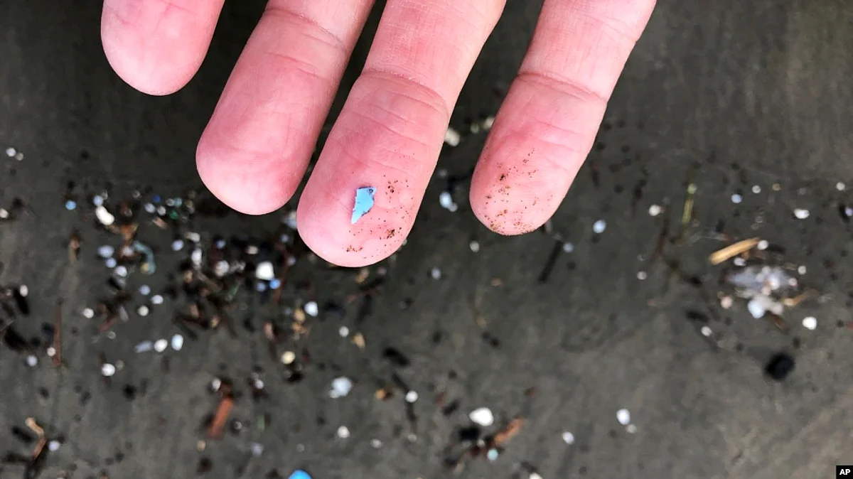 New Zealand Scientists Discover Micro Plastics In Antarctic Snow For the First Time
