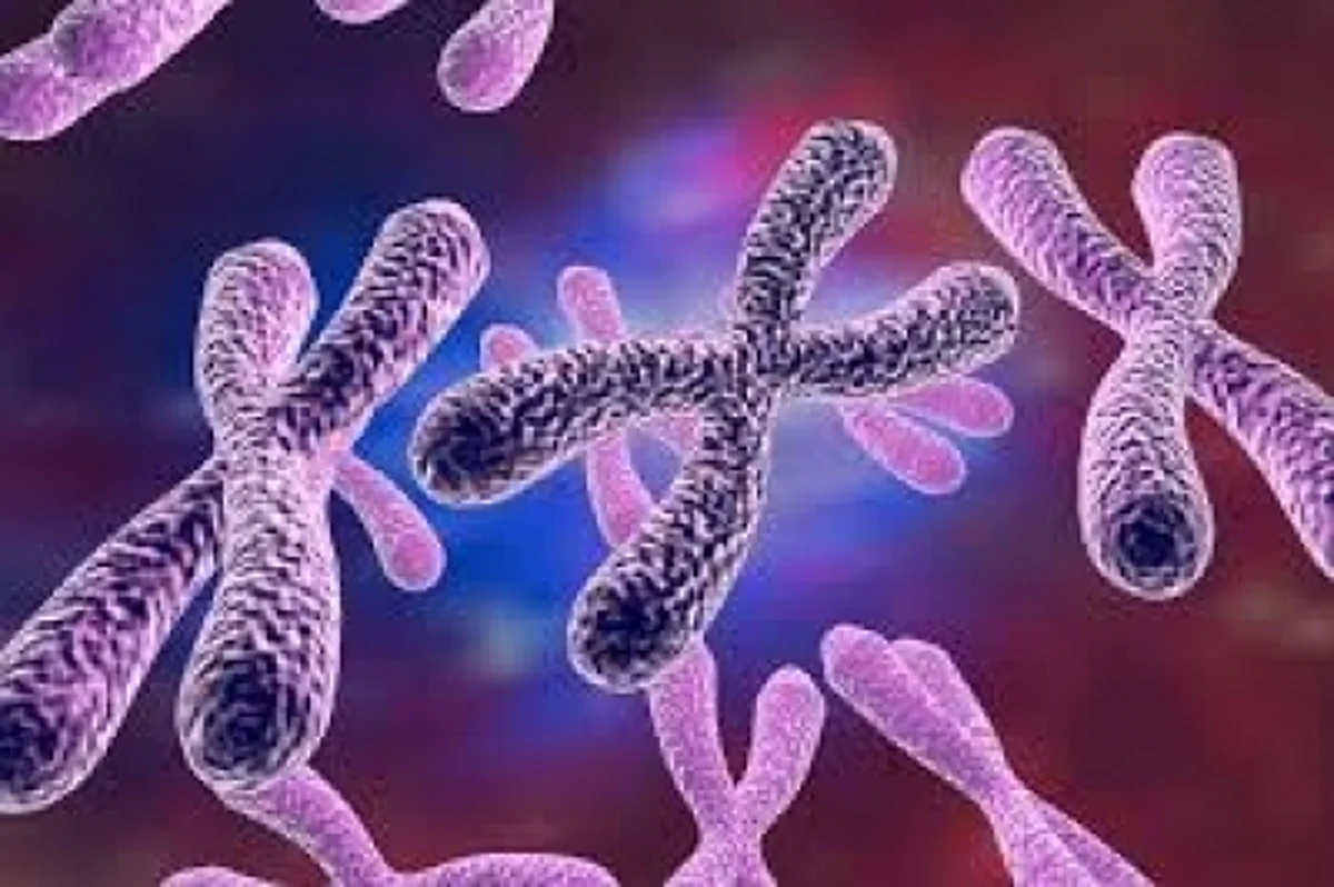 Study shows that 1 in 500 men carry extra sex chromosome raising risk of diseases