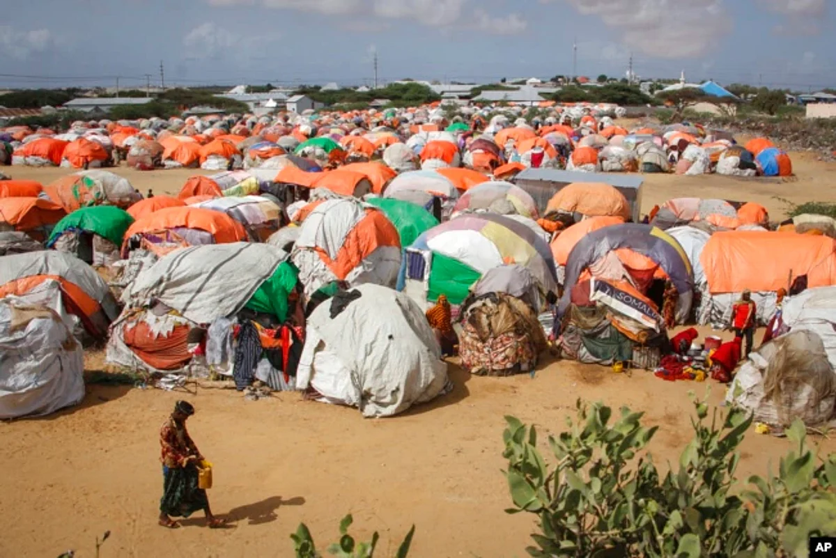Hundreds of Millions of People Affected by Drought, Desertification