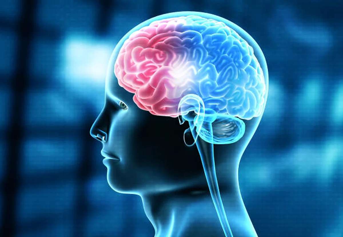 Study shows that women have hotter brains than men