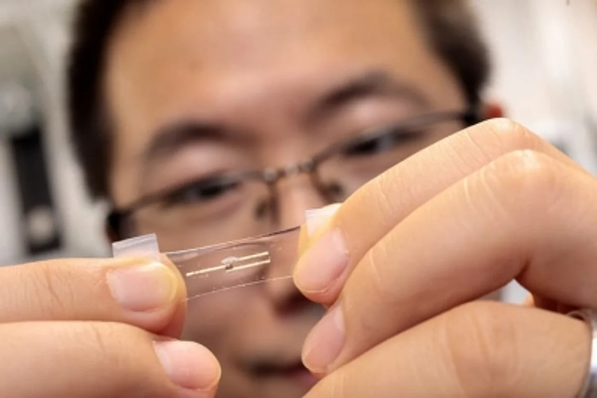 This device aims to change the way health data is processed. (IANS)