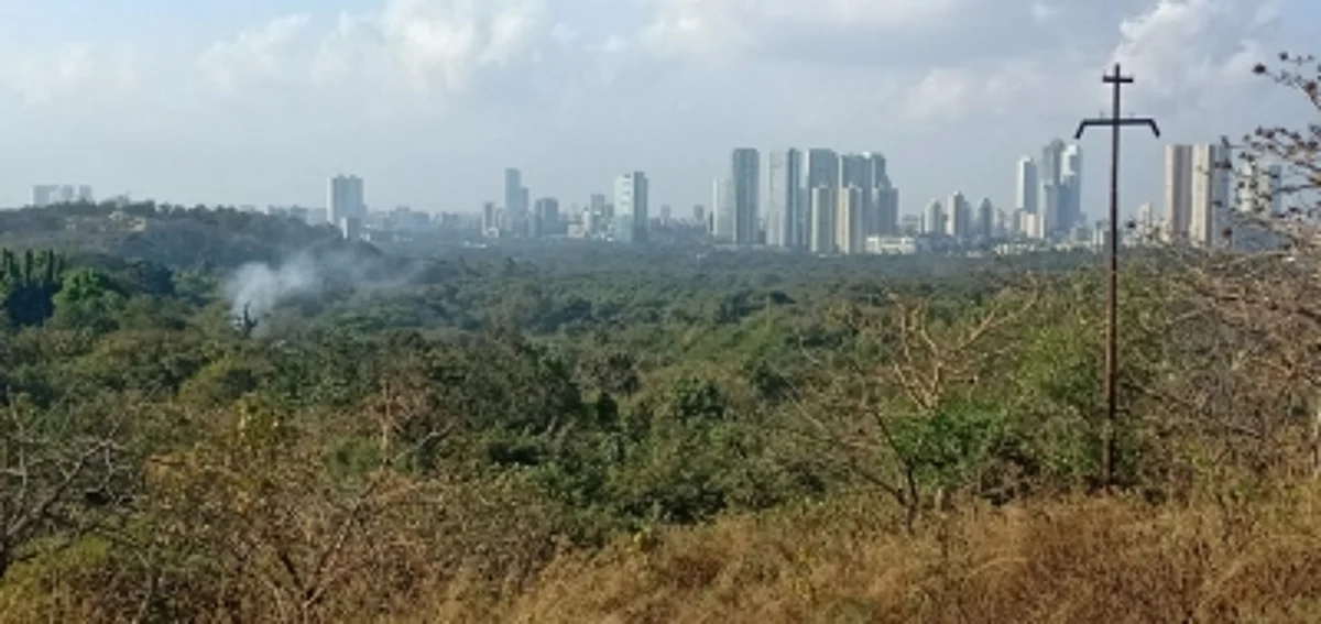 Aarey forest (IANS)
