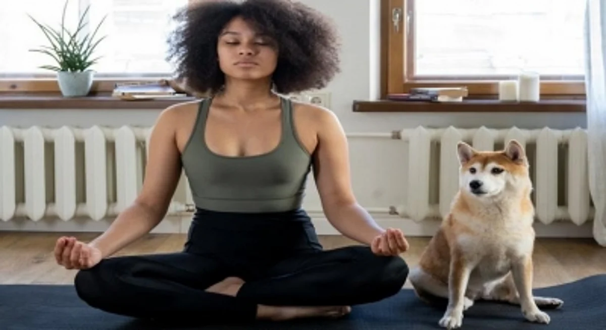 Meditation (IANS)