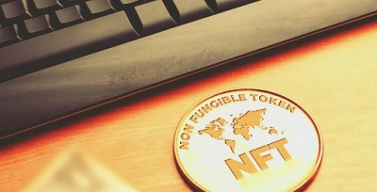 NFT owners(IANS)