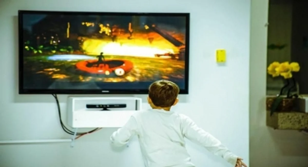 Action cinema TVs (IANS)