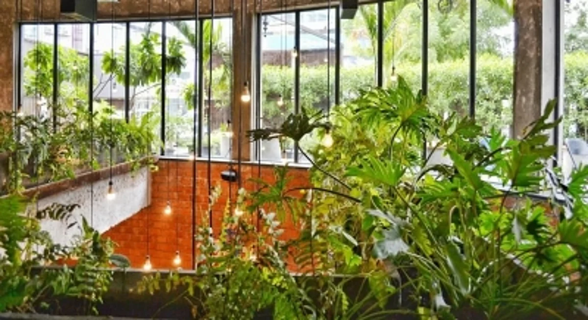 Balcony garden (IANS)