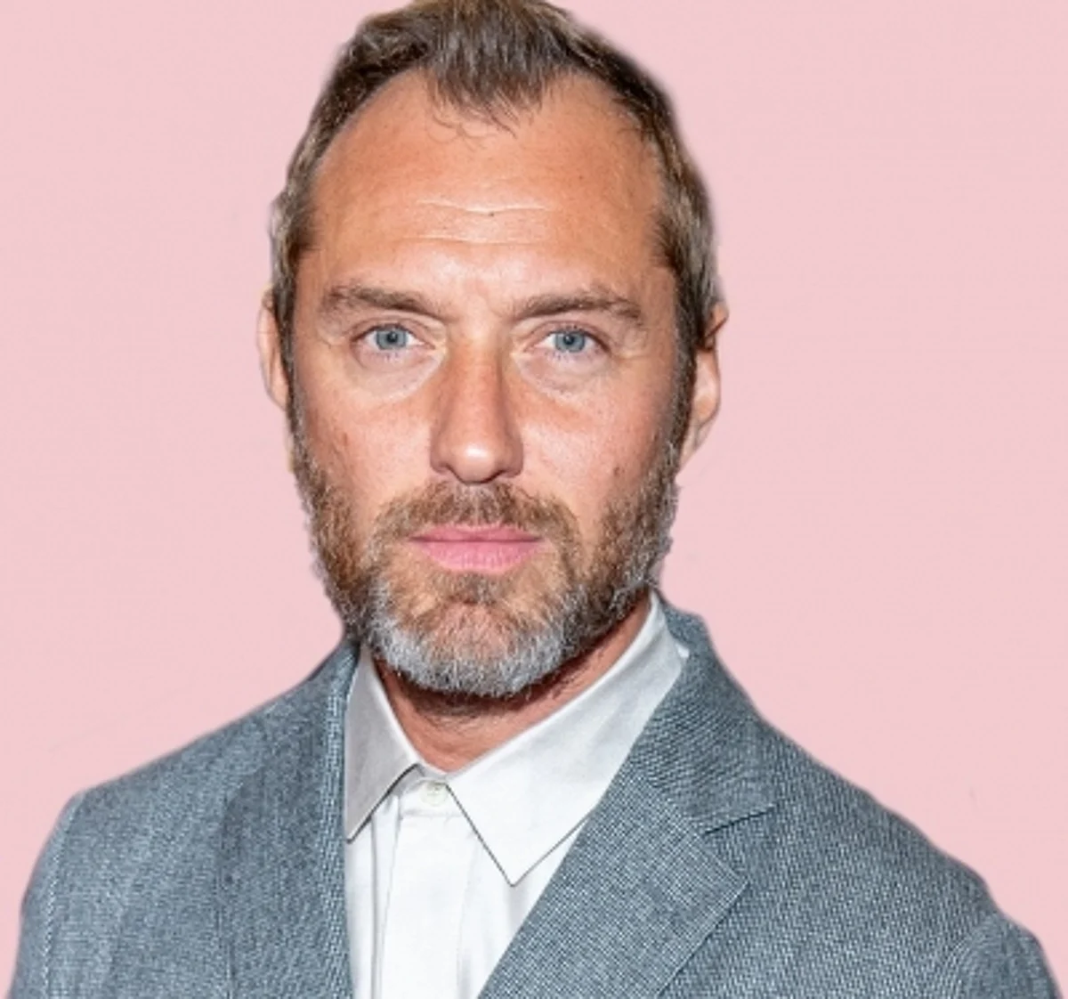 Jude Law (IANS)