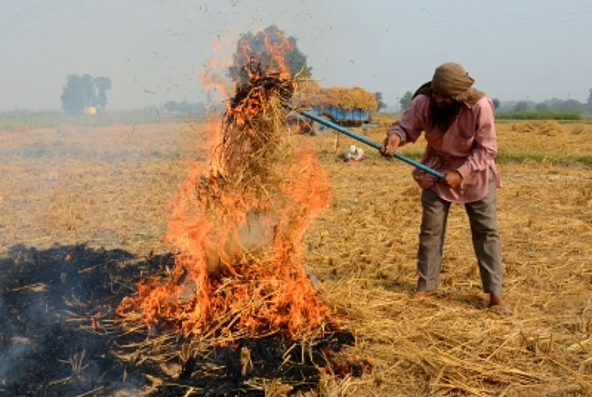 In Haryana, where incidents of stubble burning are significantly lower than that in Punjab, paddy is grown in about 4,800 villages.