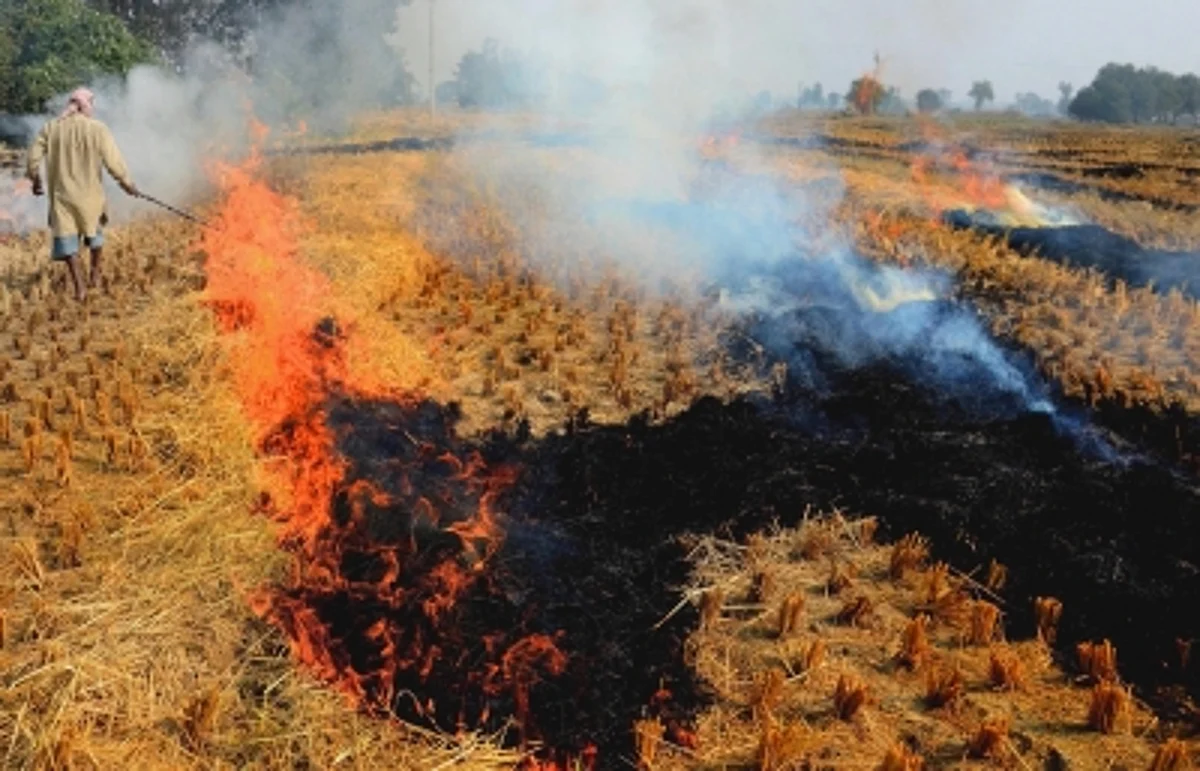 18 Districts of Uttar Pradesh Fail to Meet Expectations in Curbing Stubble Burning