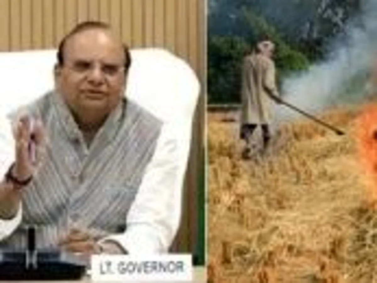 Delhi L-G writes to Punjab CM over stubble burning, asks to take urgent steps.
