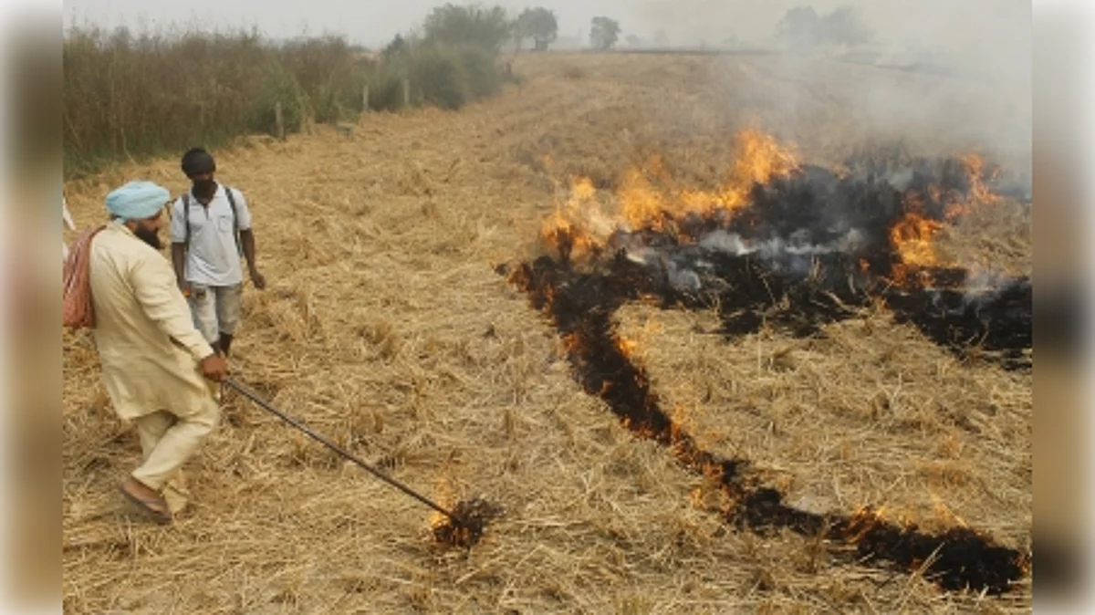Stubble burning is getting out of control with each passing year. (Representative Image)