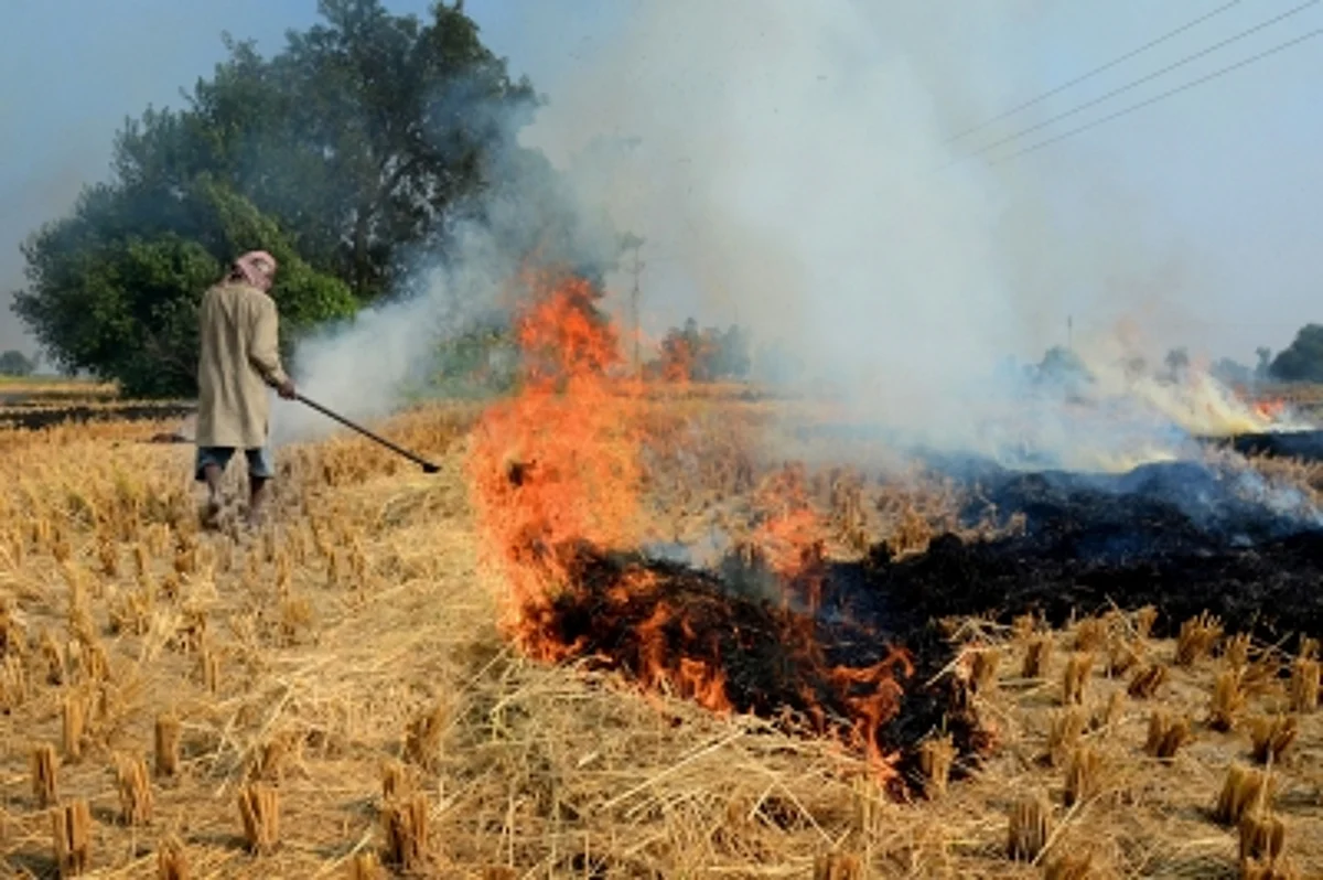 Punjab makes mandatory to use 20% straw as fuel for brick-kilns.