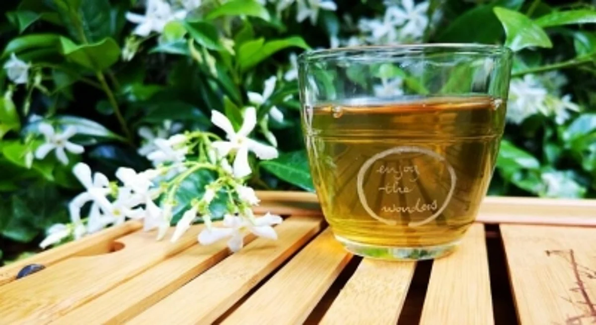 Green Tea, Red Wine Can Reduce Alzheimer's Plaques.