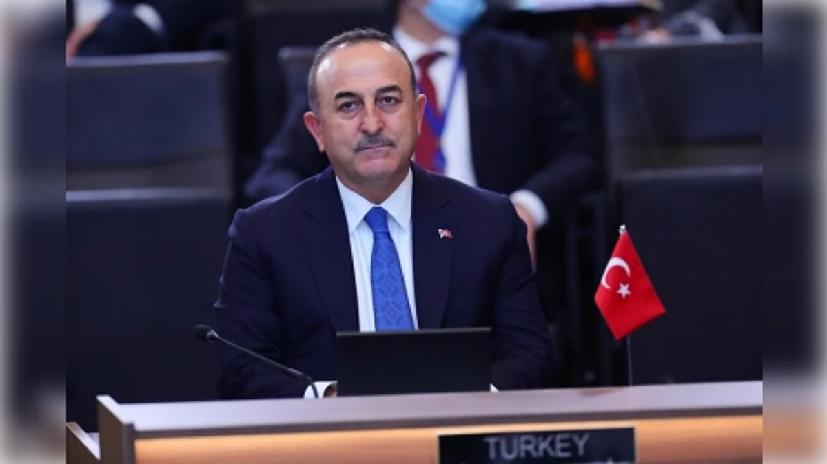 Turkish Foreign Minister Mevlut Cavusoglu. (IANS)