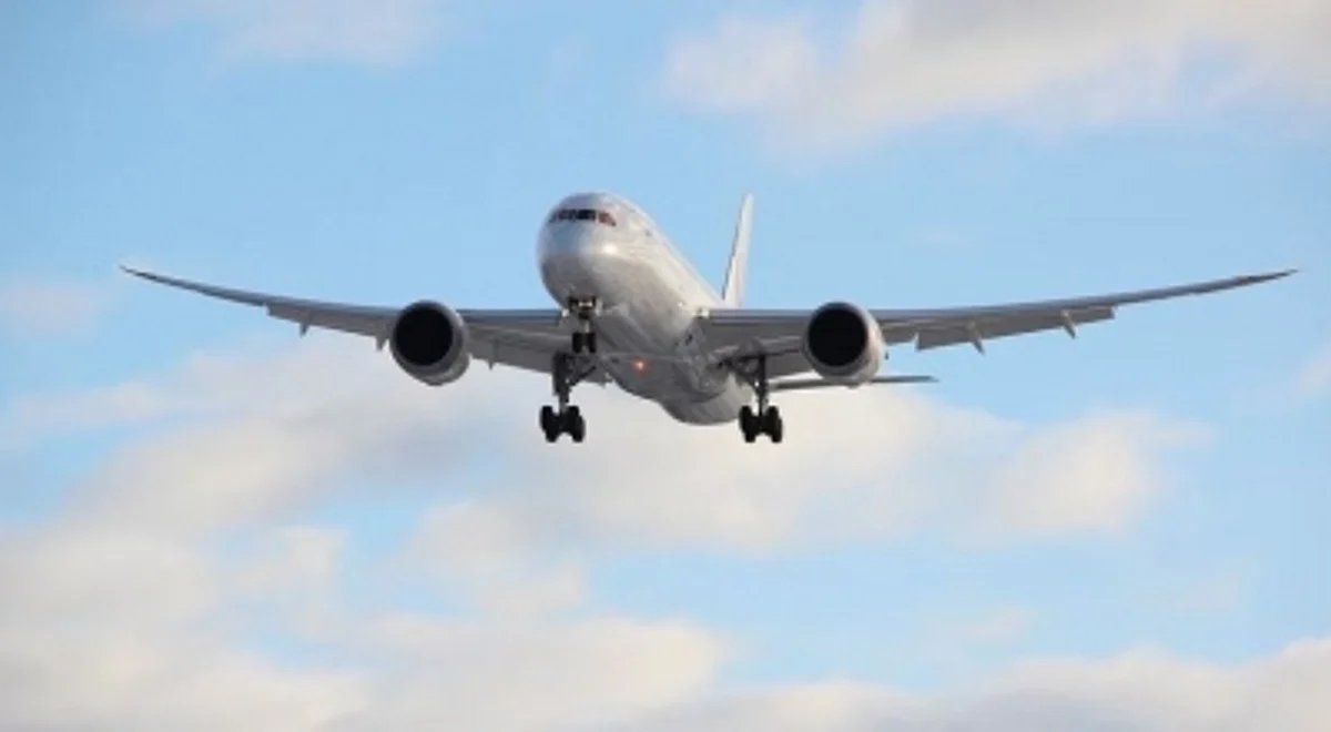Meanwhile, a spokesperson of Delhi airport said: "We, along with stakeholders -- CISF and Immigration, are working constantly to cope with the demand which includes deployment of additional systems and manpower." (Representative Image- IANS)