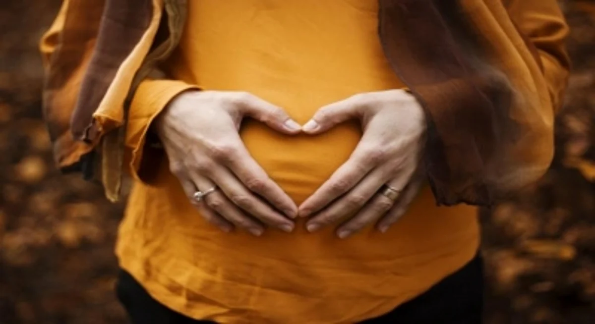 Surrogacy Rules (IANS)