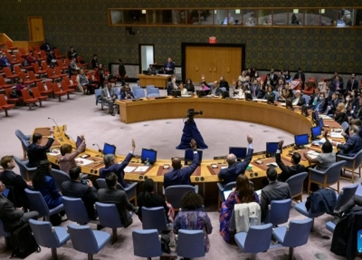 UN Security Council (IANS)