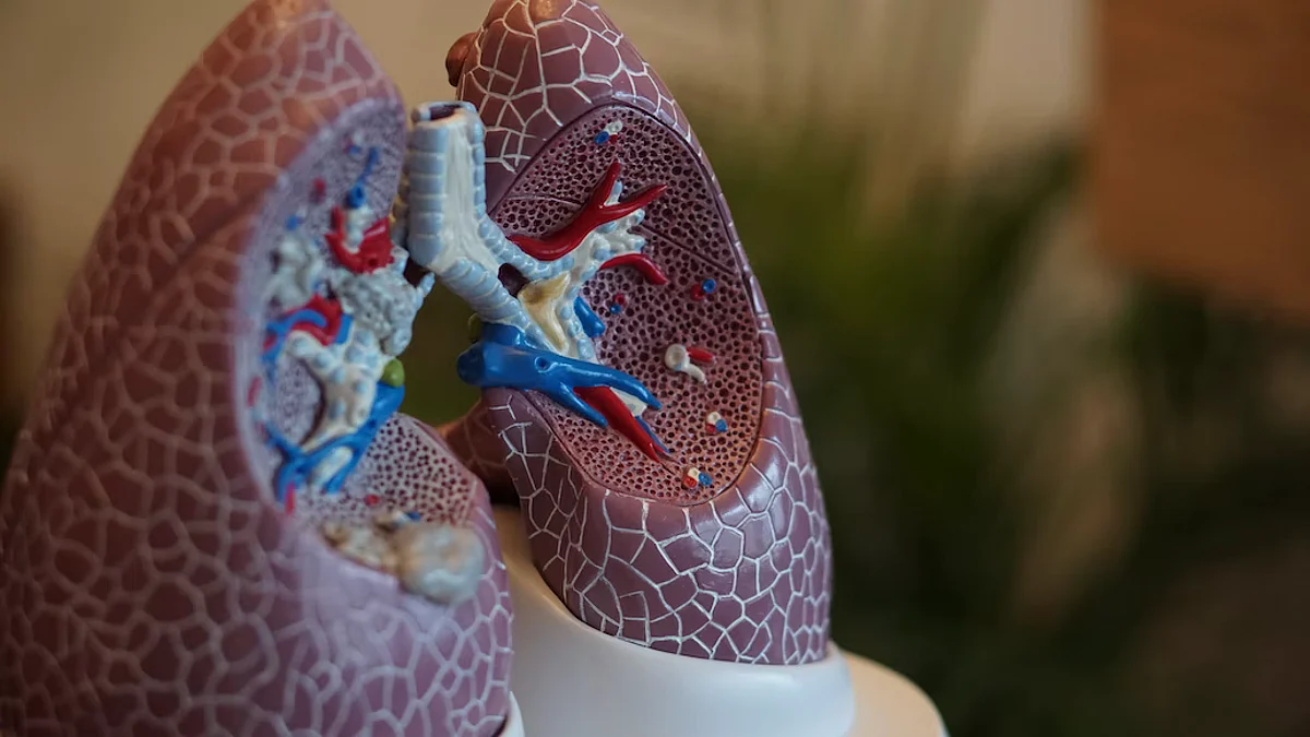 In common parlance, respiratory protective equipment protects the wearer against the inhalation of hazardous substances in the workplace air. Respiratory disorders could develop due to improper use of RPE. (Representative Image- Robina Weermeijer/Unsplash