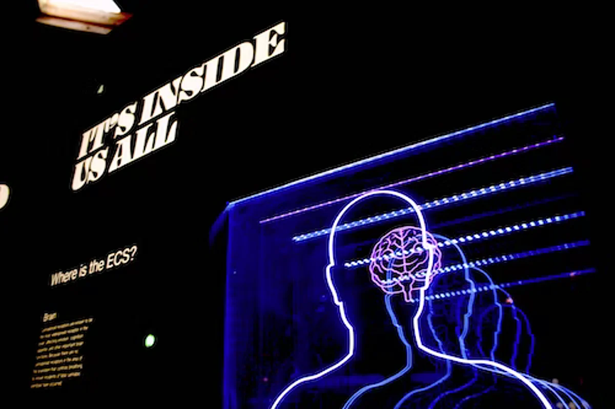 Neurological disorders are the reason behind growing mental health cases across the world. (
Bret Kavanaugh- IANS)