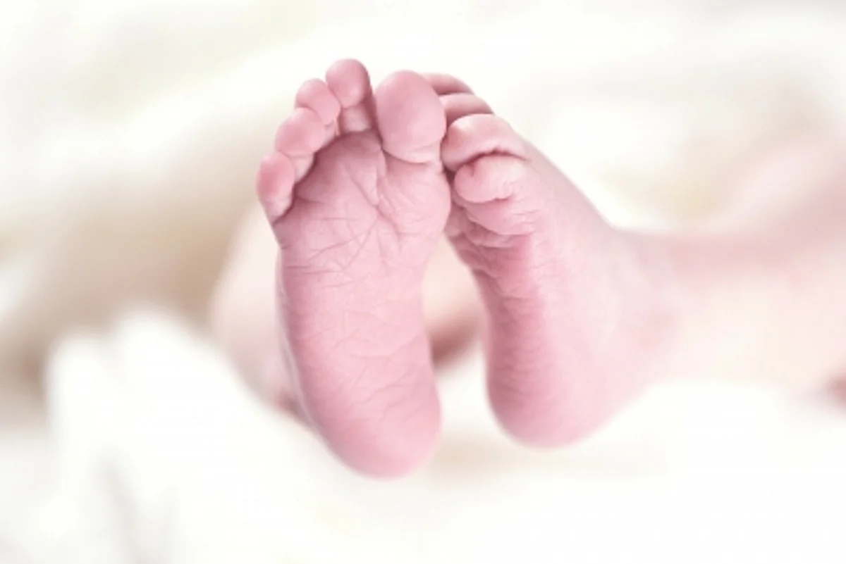 Foreign couple who adopted abandoned baby girl charged with ‘wrongful conversion' (IANS)