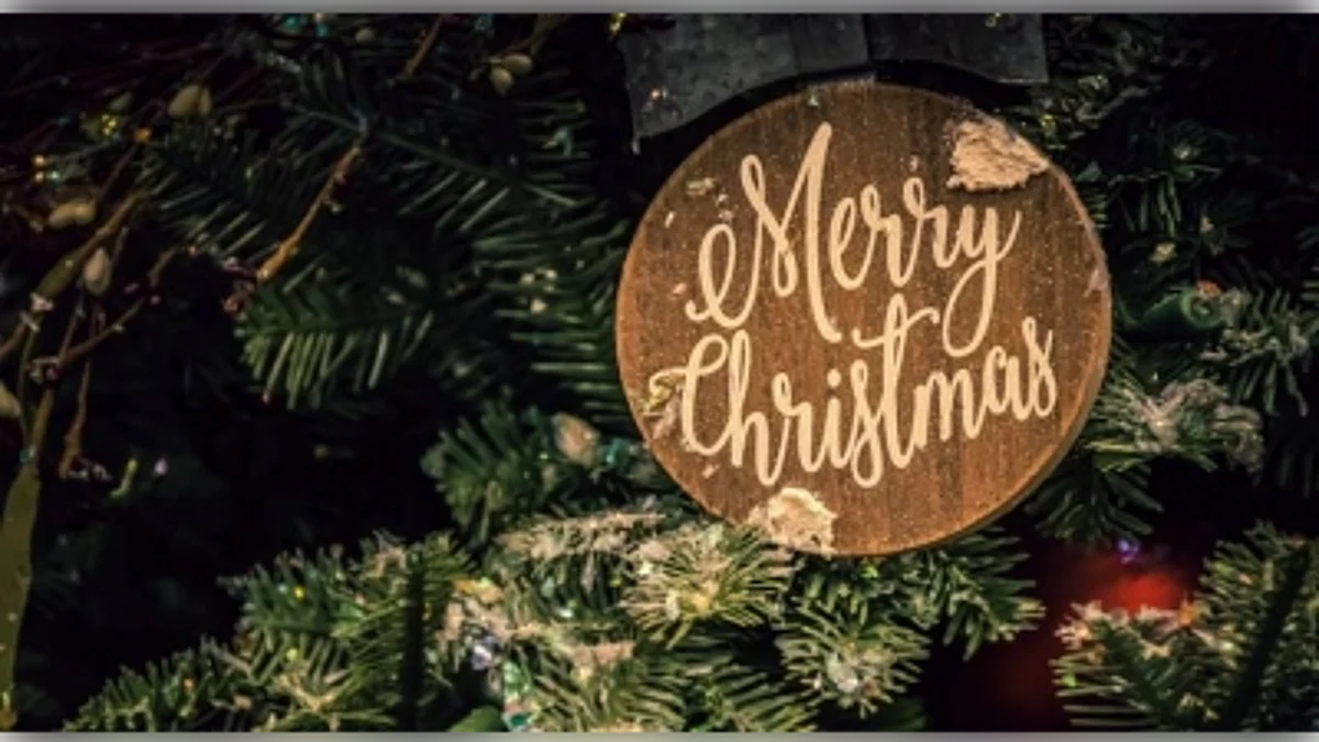 Christmas is a celebration of abundance, both in look and feel. (Representative Image- IANS)