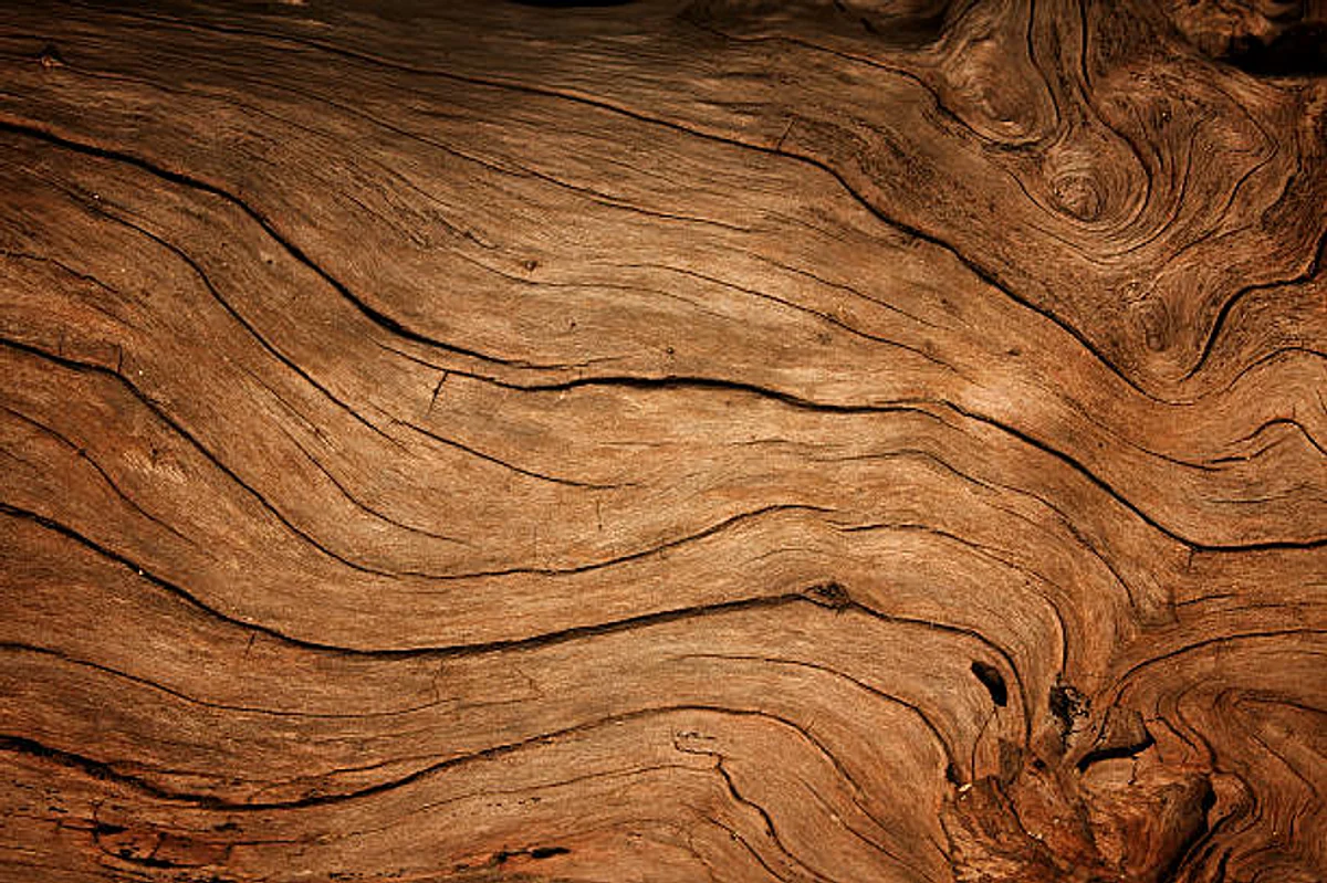 How to Choose the Right Wood for Your Project