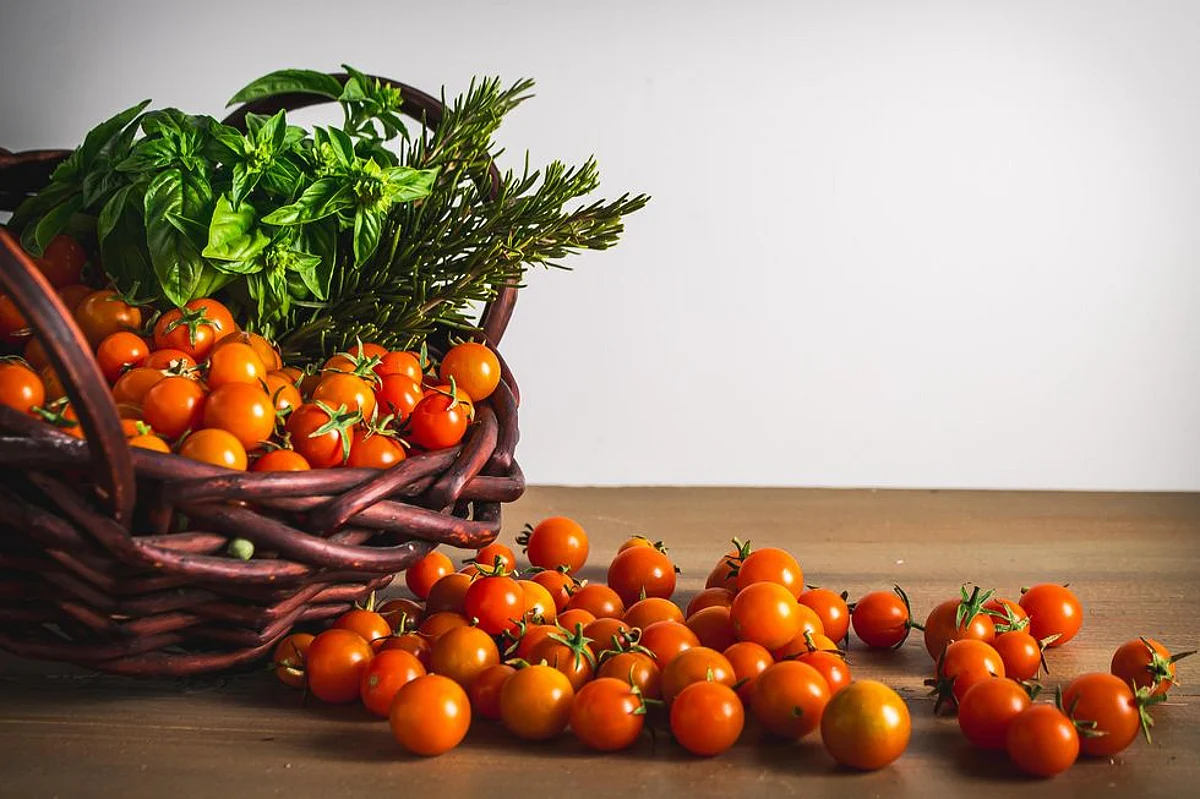 Yellow-colored, pear-shaped tomatoes have been famous since the late 1800s.
