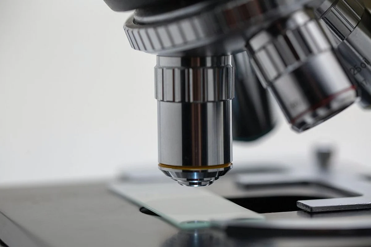 The test, called the "nutritional genetic panel? can cost $400,000