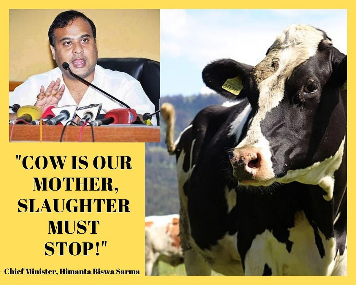 “Beef Must Not Be Consumed Where Cows Are Revered”