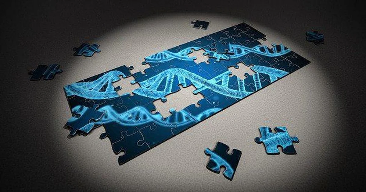 Gene-Editing Treatment Shows Promise For Blood Disorders