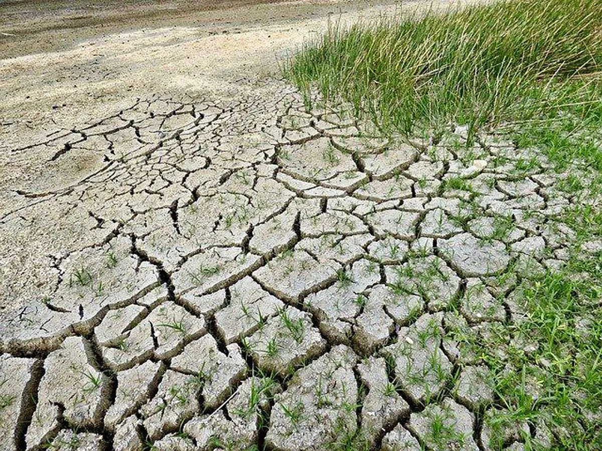 Climate Change And Credit Risk